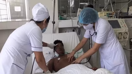 Cứu sống bệnh nhân bị ong võ vẽ đốt hơn 50 mũi