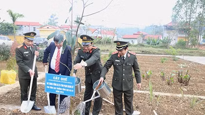 Tổ chức Lễ ra quân "Mùa xuân trồng cây thuốc quý"