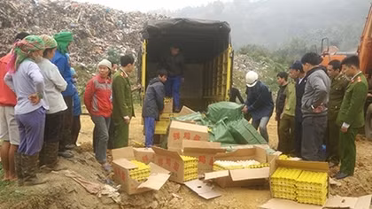 Ngăn dịch cúm A/H7N9 từ biên giới: Tinh vi như buôn lậu gia cầm