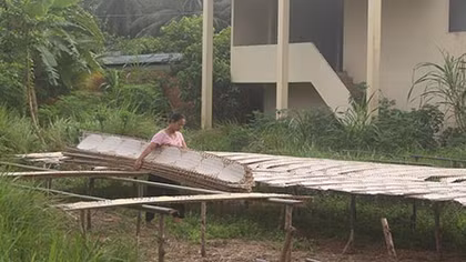 Chông chênh phên bánh Mỹ Lồng