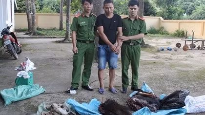 “Cắt rừng” đưa 70kg động vật hoang dã từ Lào về Việt Nam