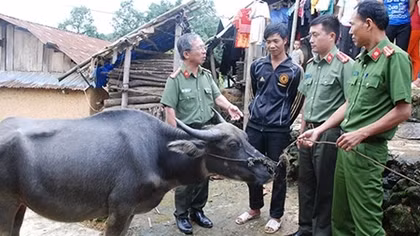 Gieo “quả ngọt” nơi phên giậu Tổ quốc