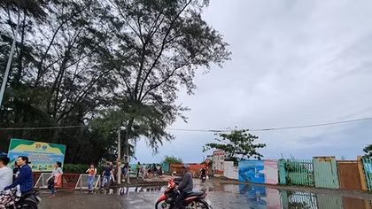 Tác động của Dự án lấn biển Cần Giờ đến khu dự trữ sinh quyển rừng ngập mặn