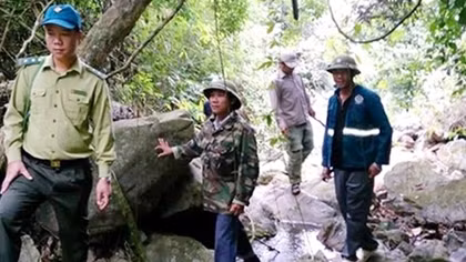 Hàng loạt nhân viên bảo vệ rừng xin nghỉ việc vì lương thấp