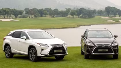 Xe sang Lexus RX350 và RX200t tại Việt Nam bị triệu hồi
