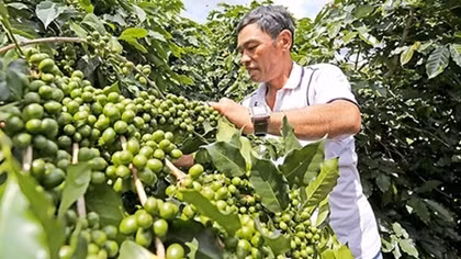 Bàn giải pháp giúp nông dân khởi nghiệp