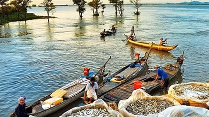 Miền Tây mênh mang mùa nước nổi lại về