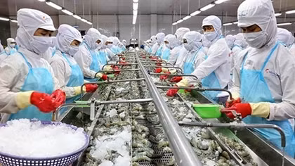 Quy định kiểm dịch có làm khó doanh nghiệp chế biến, xuất khẩu thuỷ sản?