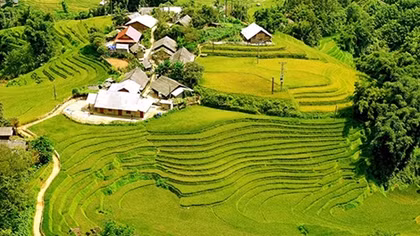 Fansipan đẹp ngỡ ngàng mùa lúa chín