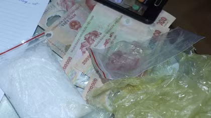 Cất giấu ma túy trên cối cây quanh nhà
