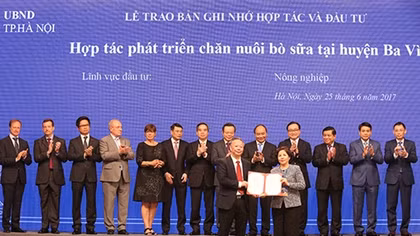 Vinamilk sẽ phát triển chăn nuôi bò sữa công nghệ cao tại Ba Vì