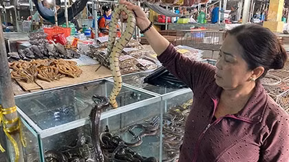 Cuộc chiến chống săn bắt, buôn bán động vật hoang dã: Bẫy, bán và đủ chiêu lách luật