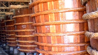 Nước mắm truyền thống – Nước mắt của biển