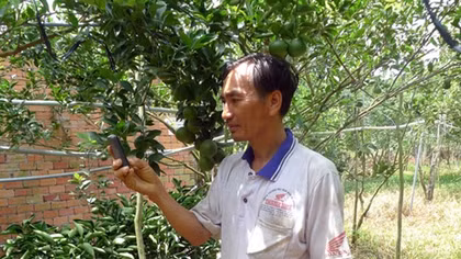 Phun thuốc, tưới cây tự động bằng điện thoại di động “cùi bắp”