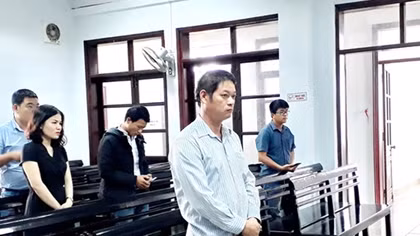 Điều tra bổ sung vụ án tàng trữ xác rùa biển với số lượng lớn nhất thế giới