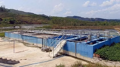 Xử lý dứt điểm ô nhiễm môi trường do trang trại heo