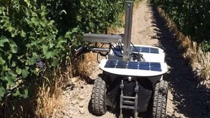 Những robot trên cánh đồng