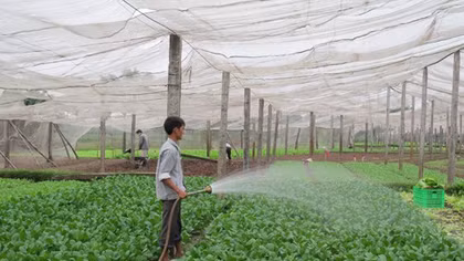 Hà Nội đứng đầu bảng xếp hạng bảo đảm an toàn thực phẩm nông, lâm, thủy sản