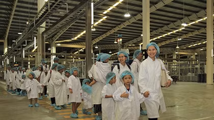 Vinamilk tổ chức cho con nhân viên tham quan siêu nhà máy sữa