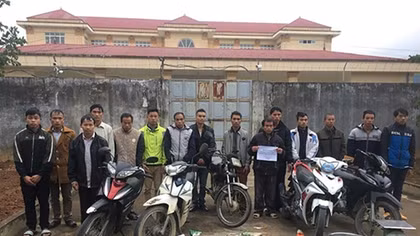 Công an huyện Tân Uyên bắt giữ 15 đối tượng trộm trâu bò
