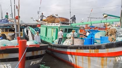 Ngư dân nỗ lực vươn khơi làm giàu từ biển