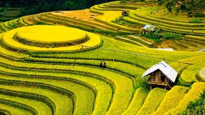 Dịp nghỉ lễ 2-9, tour nội địa ngắn ngày hút khách