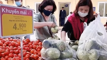 Hệ thống bán lẻ Hà Nội tăng cường tiêu thụ nông sản Hải Dương