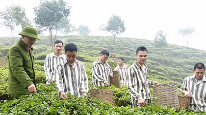 Trại giam Hồng Ca: Làm tốt công tác cảm hóa, giáo dục phạm nhân