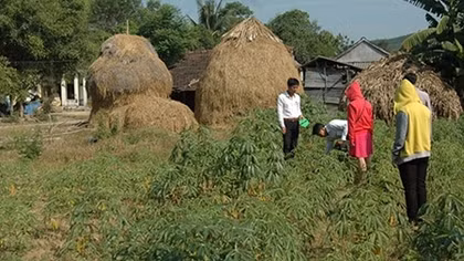 Cần giải quyết sự việc khách quan và hợp lý