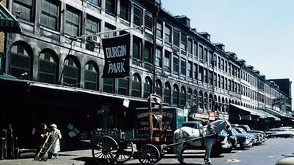 Cuộc sống ở Mỹ những năm 1950 như thế nào?