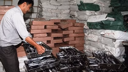 Sự thật 30 tấn cá nục nhiễm chất phenol ở Quảng Trị