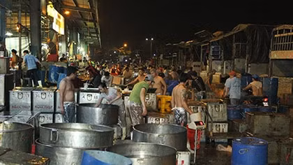 Tết đến với muôn nẻo mưu sinh…