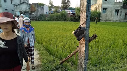 Vợ chết, chồng bất tỉnh tại ruộng lúa nghi bị điện giật