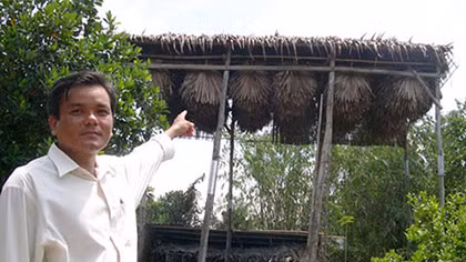 Triệu phú “dạ minh sa” ở Đồng Tháp Mười