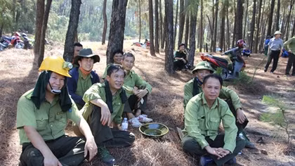 Khống chế hoàn toàn đám cháy rừng tại Diễn Châu