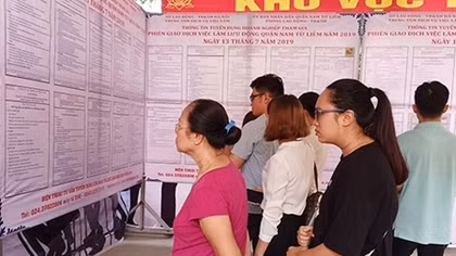 Hà Nội: Gần 72% người lao động muốn hỗ trợ và kết nối việc làm