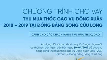 VietinBank cho vay thu mua thóc gạo với lãi suất ưu đãi 6%