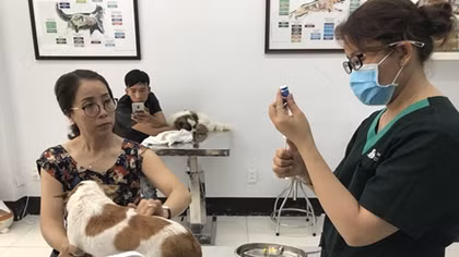 Tử vong do chủ quan không tiêm phòng dại: Những bài học đau xót