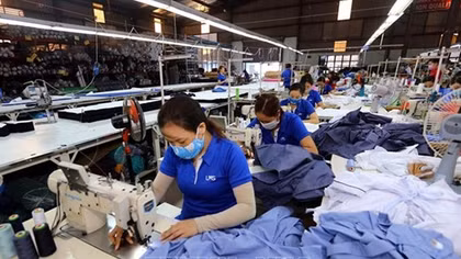 CPTPP mang lại cơ hội được giảm thuế rất lớn
