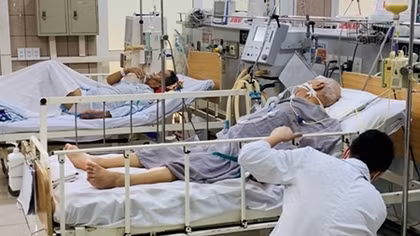 Yêu cầu rà soát trên toàn quốc sản phẩm pate Minh Chay