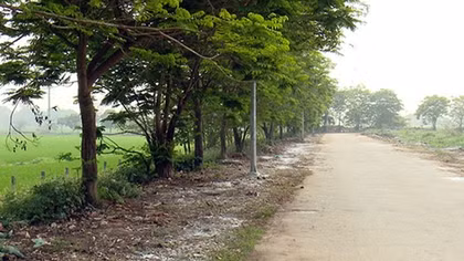 Lò giết mổ trâu bò Hải Bối: Đề án “treo”, dân sống chung ô nhiễm