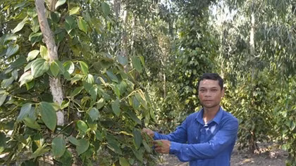 Thành công nhờ làm “chuyện ngược đời”