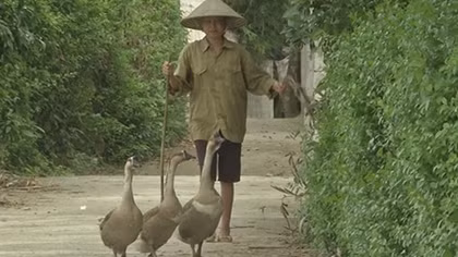 Chiếc “cần câu cơm” và niềm mơ ước của mẹ con người phụ nữ bất hạnh