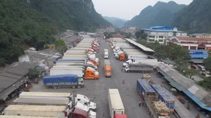 Nguy cơ “vỡ trận” thanh long xuất khẩu sang Trung Quốc