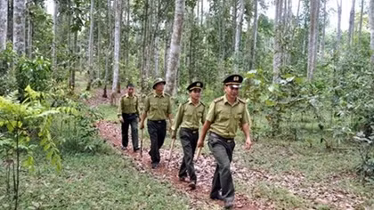 Kiểm lâm bị thương khi trực tiếp làm nhiệm vụ được hưởng chế độ như thương binh