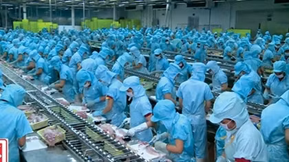 Những doanh nghiệp “bén duyên” với con cá triệu đô
