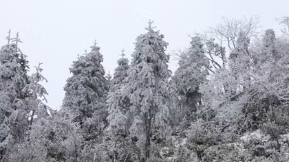 Đợt rét đậm, rét hại còn kéo dài trong 10 ngày