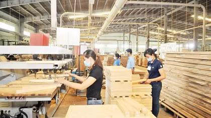 Nắm bắt xu thế mới, dịch chuyển thị trường xuất khẩu