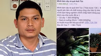 "Thầy thuốc" vừa chữa bệnh vừa bán cây, quả thuốc phiện
