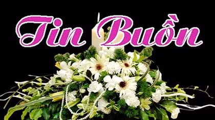  Đại tá Trần Ngọc Oanh từ trần